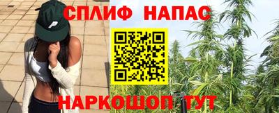 индика Пушкино