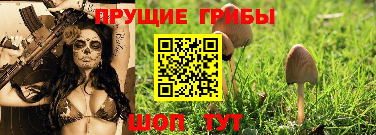 Псилоцибиновые грибы Psilocybine cubensis  Вход с VPN  Галлюциногенные грибы MAGIC MUSHROOMS  Сочи 
