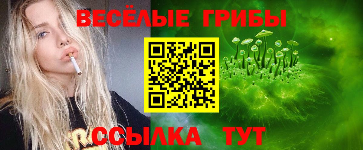 Галлюциногенные грибы мицелий Сочи