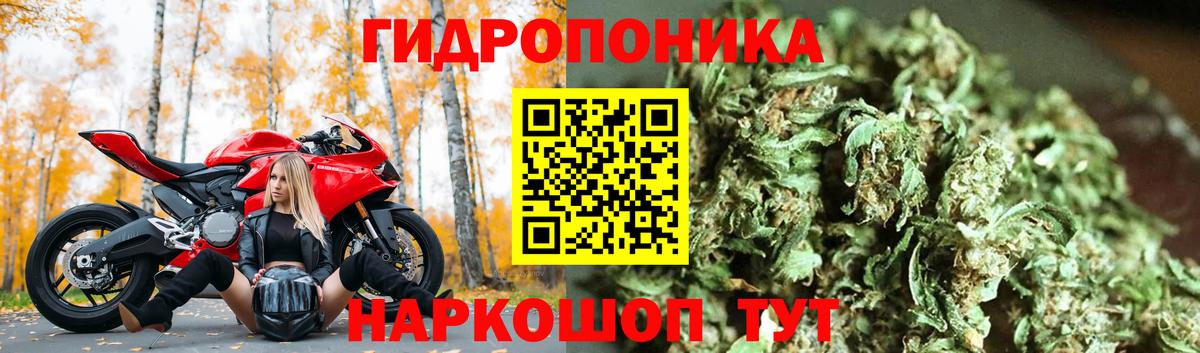 Канабис тримм  Бошки Шишки Ganja  Сочи  МАРИХУАНА индика  Вход с VPN 